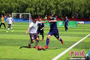 2025WTA生育支持制度，其他个人项目可以学习什么