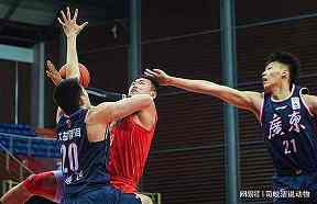 2025NCAA冠军归佛罗里达，球队第三冠承接校园记忆