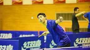 2025WTA生育支持制度，其他个人项目可以学习什么