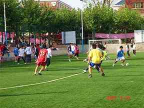2025WTA生育支持制度，其他个人项目可以学习什么