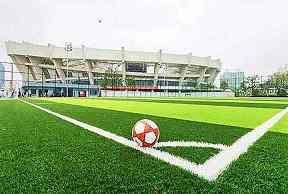 2025NBL第五场决战，球队怎样准备一场不能重来的比赛？