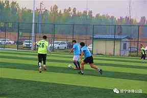 2025U18欧洲杯意大利回归领奖台,青训成果怎样扩大受益面?